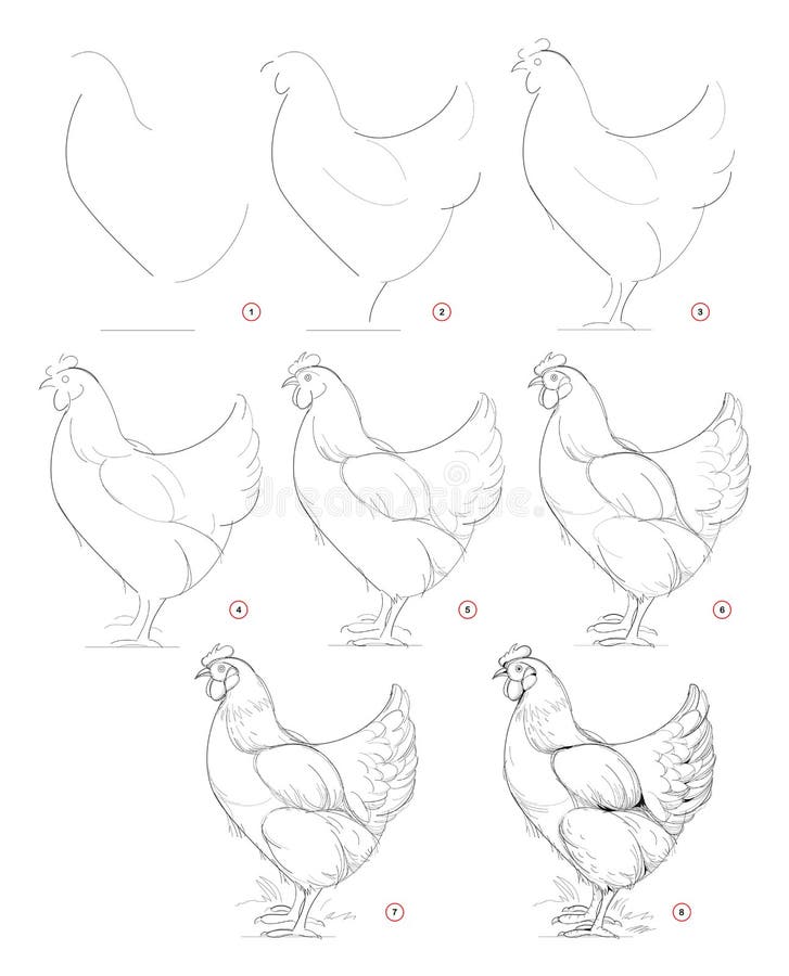 How to draw sketch of imaginary domestic hen. Creation step by step pencil drawing. Education for artists. Textbook for developing artistic skills. Hand-drawn royalty free illustration