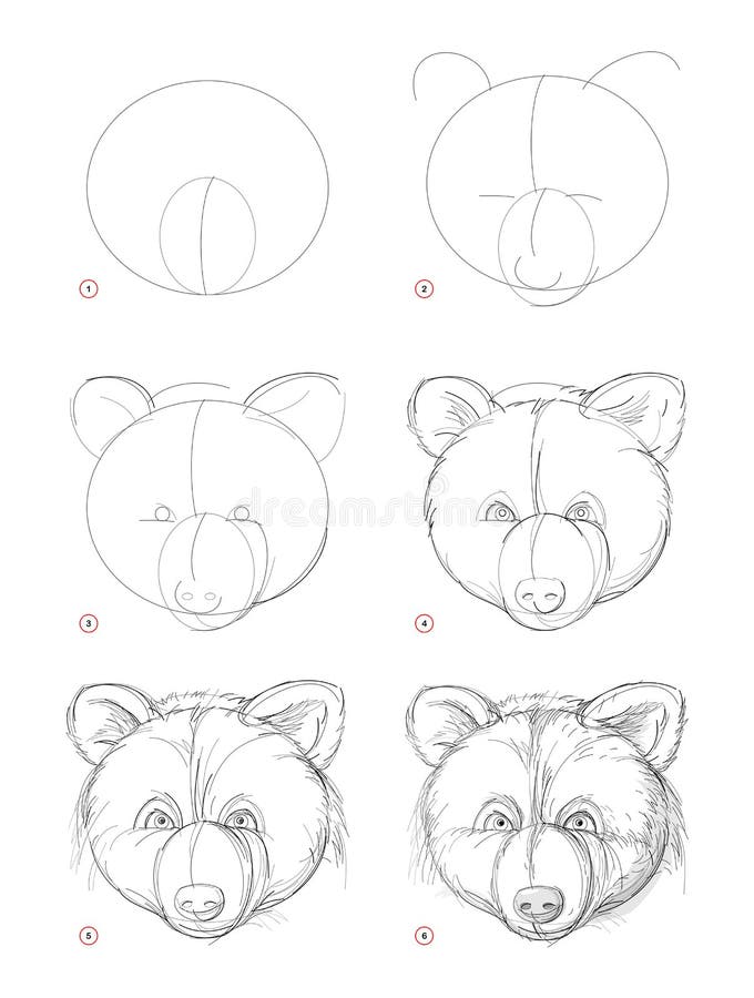 How to draw sketch of imaginary cute bear head. Creation step by step pencil drawing. Education for artists. Textbook for developing artistic skills. Hand vector illustration How to draw sketch of imaginary cute bear head. Creation step by step pencil drawing. Education for artists. Textbook for developing artistic skills. Hand vector illustration