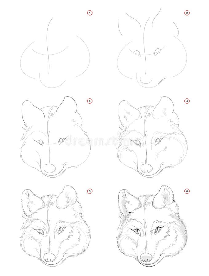 How to draw sketch of imaginary cute wolf head. Creation step by step pencil drawing. Education for artists. Textbook for developing artistic skills. Hand royalty free illustration How to draw sketch of imaginary cute wolf head. Creation step by step pencil drawing. Education for artists. Textbook for developing artistic skills. Hand royalty free illustration