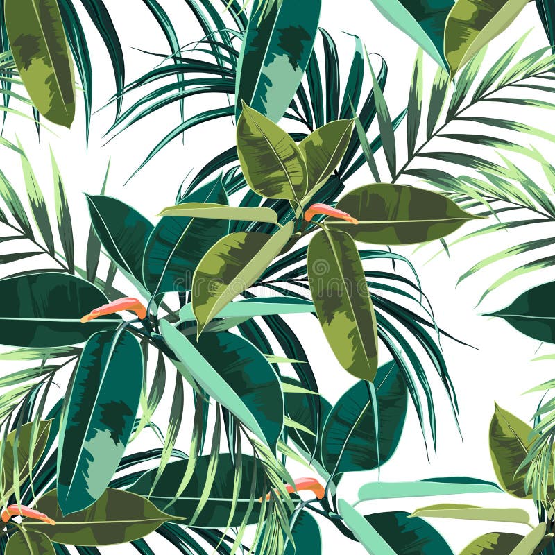 Beautiful seamless floral pattern background with tropical dark and bright ficus elastica and palm leaves. vector illustration