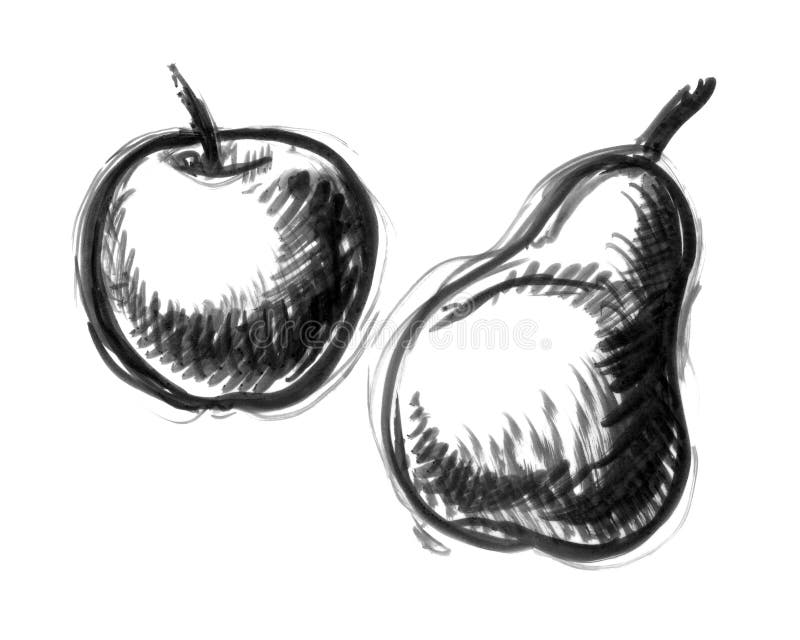 Apple and pear illustration stock illustration