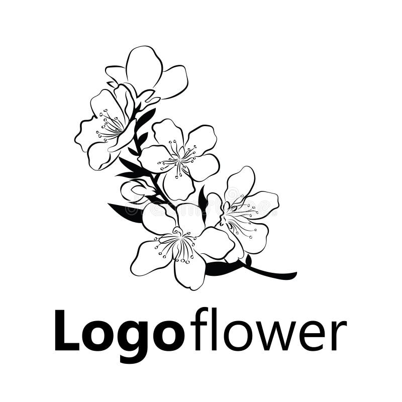 Blooming cherry. Sakura branch with flower buds. Black and white drawing of a blossoming tree in spring. Logo with. Japanese cherry blossoms. Tattoo royalty free illustration