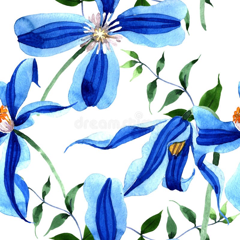 Blue durandii clematis. Floral botanical flower. Seamless background pattern. Fabric wallpaper print texture. stock illustration Blue durandii clematis. Floral botanical flower. Seamless background pattern. Fabric wallpaper print texture. stock illustration