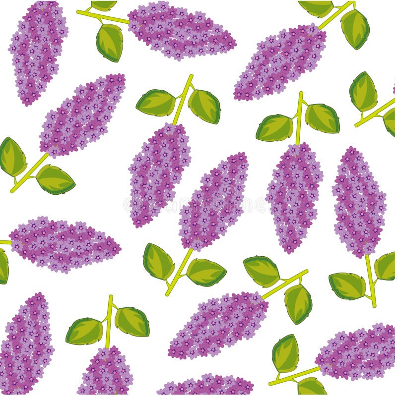 Branch lilac pattern on white background is insulated. Vector illustration of the decorative pattern of the branch lilac with flower stock illustration