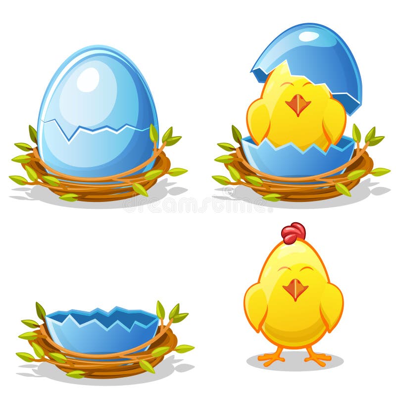 Cartoon chicken and blue egg in a nest. Cartoon funny chicken and blue egg in a nest of twigs in various stages of development, chick young boy vector illustration