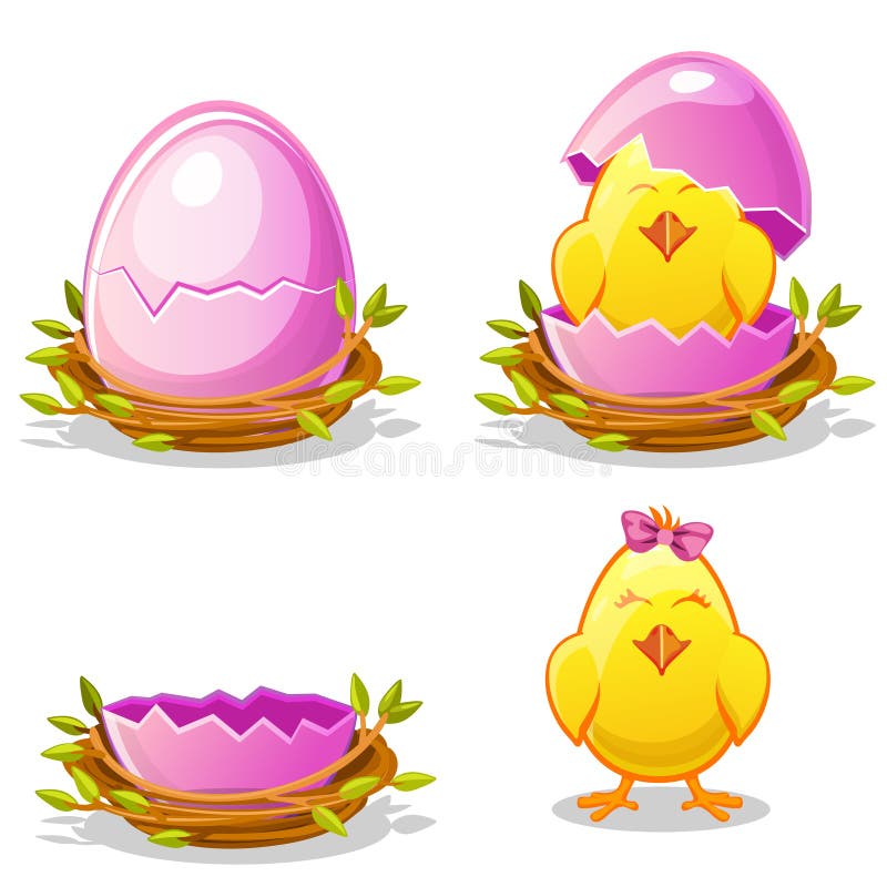 Cartoon funny chicken and pink egg in a nest. Of twigs in various stages of development, chick young girl with bow ribbon vector illustration