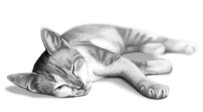 Cat drawing sketch vector illustration