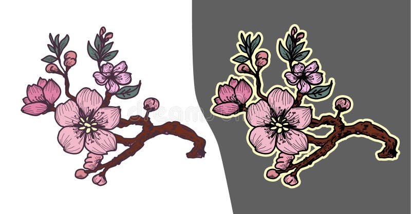 Cherry blossom flower of Japan.Outline and silhouette peach blossom. Sakura flower tattoo.Hand drawn isolate cherry blossom flower of Japan.Outline and royalty free illustration