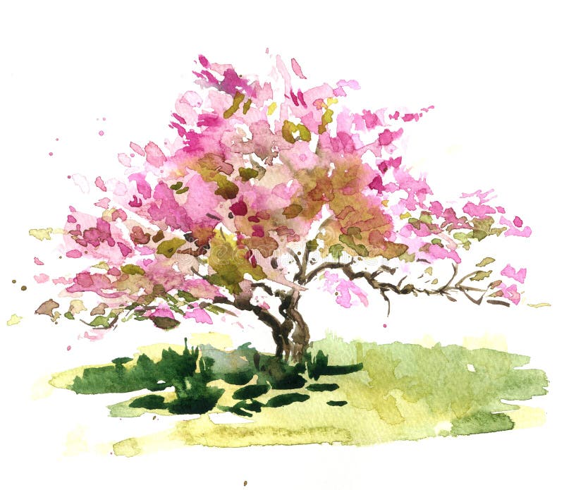 Cherry blossom tree. Drawing by watercolor, aquarelle sketch of blooming apple tree, painting garden, hand drawn background, artistic painting illustration stock illustration