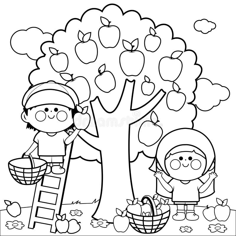 Children harvesting apples coloring book page royalty free illustration