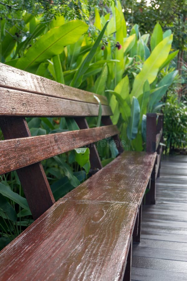 Close up side perspective on wooden chair. In the garden royalty free stock photos Close up side perspective on wooden chair. In the garden royalty free stock photos