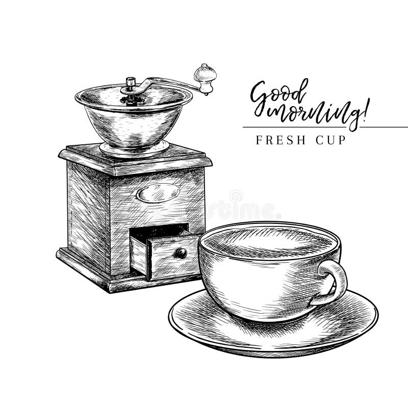 Coffee set. Hand drawn coffee vintage grinder or mill and cup. Vector engraved icon. Morning fresh drink. For restaurant vector illustration Coffee set. Hand drawn coffee vintage grinder or mill and cup. Vector engraved icon. Morning fresh drink. For restaurant vector illustration