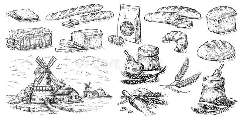 Collection of natural elements of bread and flour mill sketch vector illustration