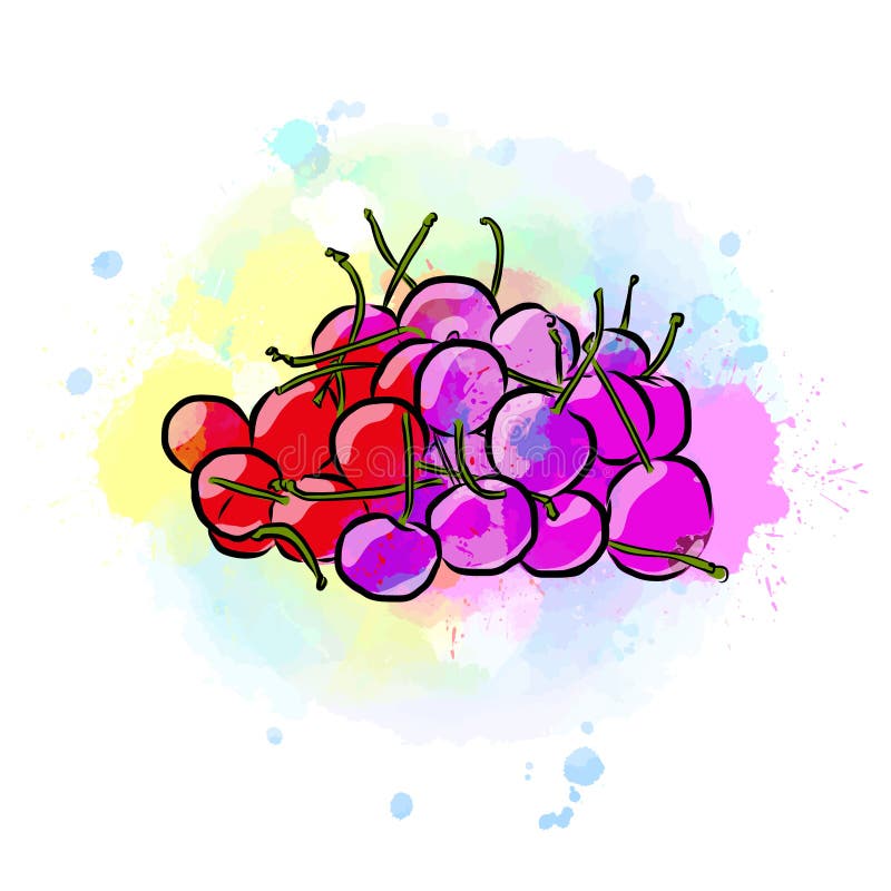 Colored drawing of cherries. Fresh design of colorful fruits made in watercolor style. Modern vector marketing illustration on white background royalty free illustration