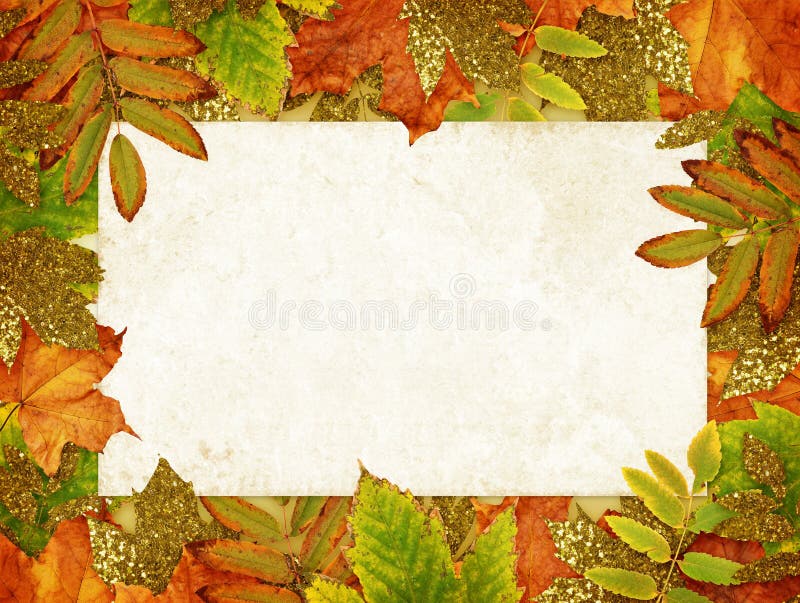 Colorful and golden autumn leaves with old paper card stock image