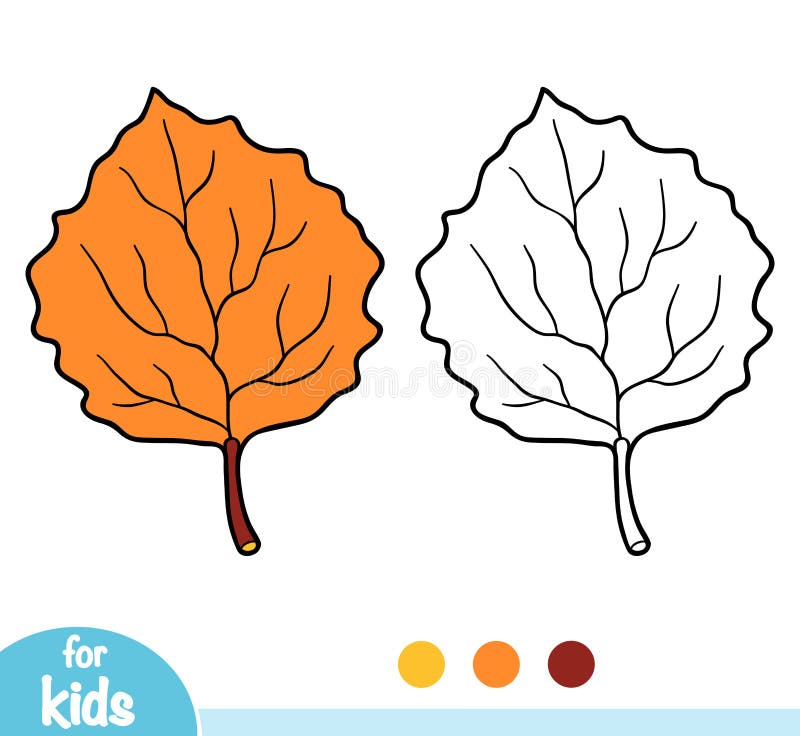 Coloring book, Aspen leaf. Coloring book for children, Aspen leaf vector illustration Coloring book, Aspen leaf. Coloring book for children, Aspen leaf vector illustration