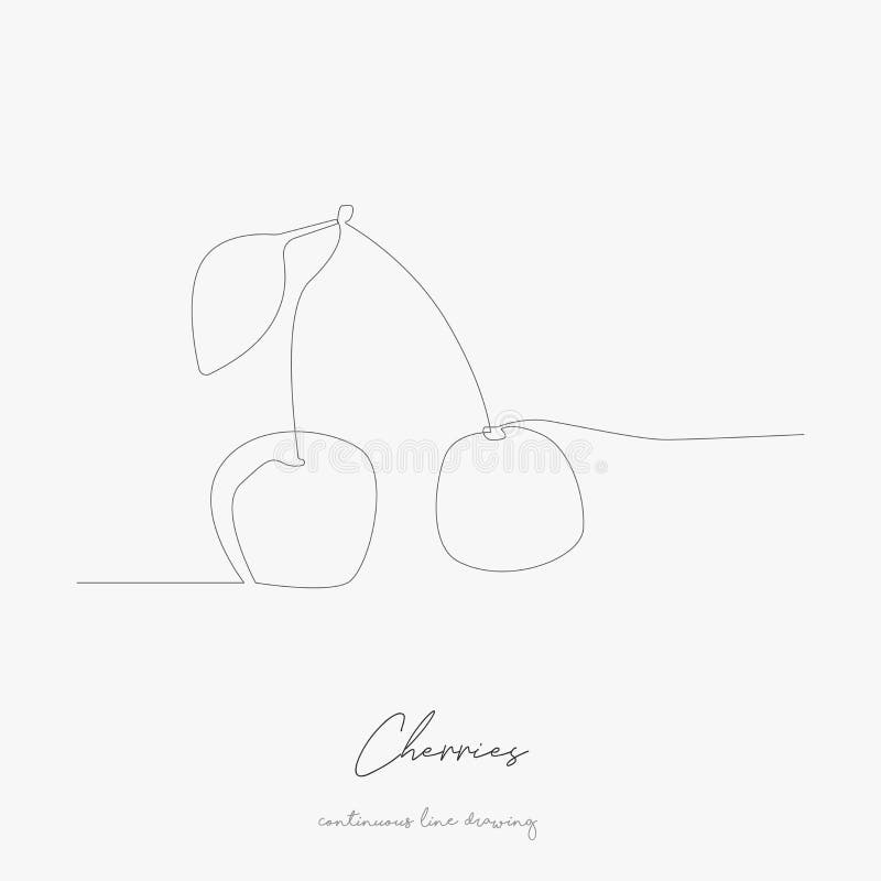 Continuous line drawing. cherries. simple vector illustration. cherries concept hand drawing sketch line. Continuous line drawing. cherries. simple vector royalty free illustration