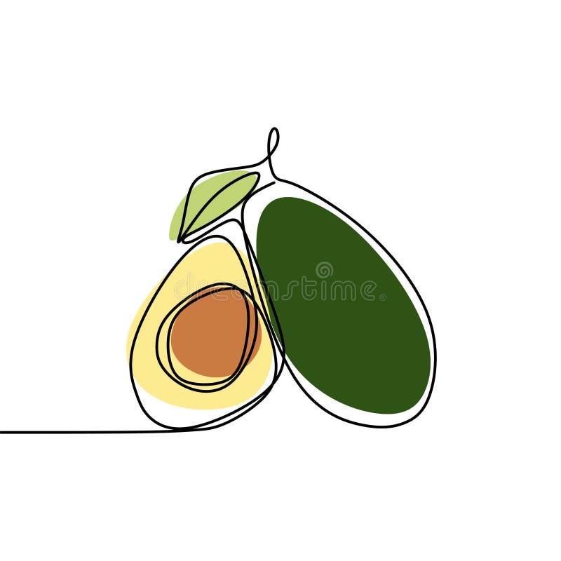 Continuous one line drawing. Vegetables two avocado. Vector illustration stock illustration