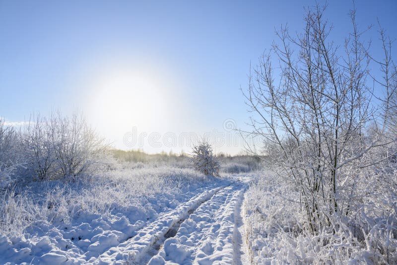 Country lane through a snow-covered meadow in winter under a blue sky with a pale sun, seasonal landscape with copy space. Country lane through a snow-covered stock photo Country lane through a snow-covered meadow in winter under a blue sky with a pale sun, seasonal landscape with copy space. Country lane through a snow-covered stock photo
