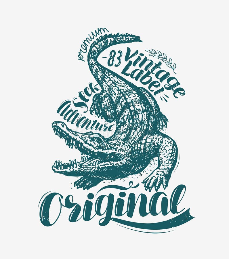 Crocodile t-shirt design. Alligator drawn vintage vector illustration. Crocodile t-shirt design. Alligator drawn vintage vector stock illustration