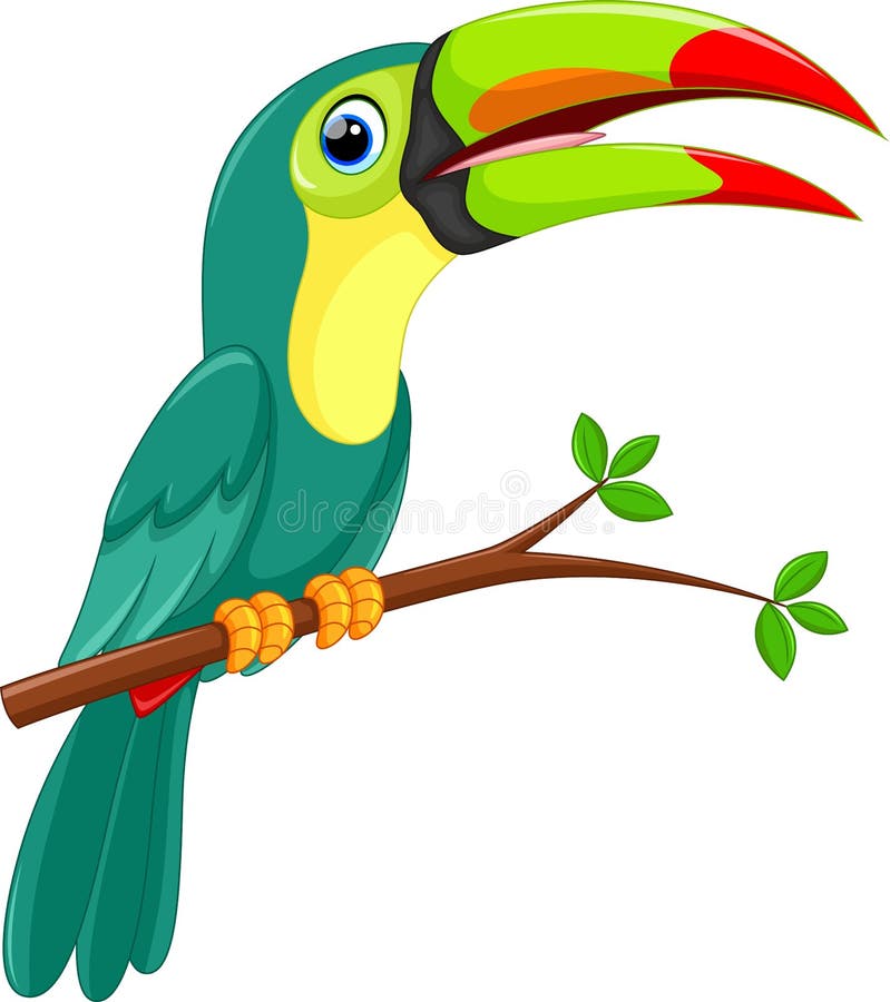 Cute toucan bird cartoon royalty free illustration