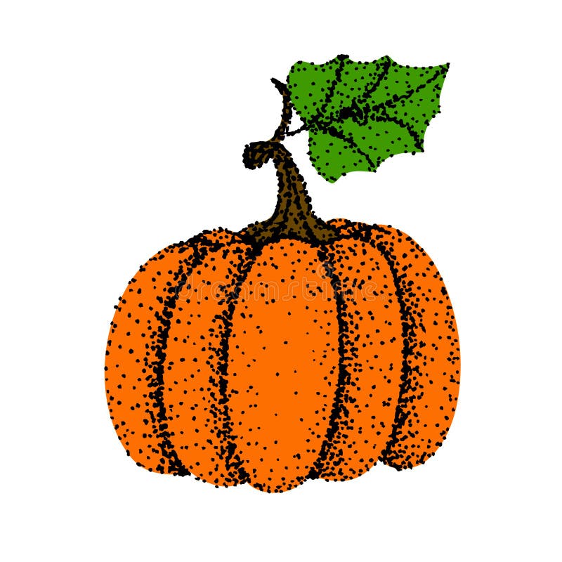 Drawing of pumpkin - hand sketch, Colorful illustrtation stock illustration