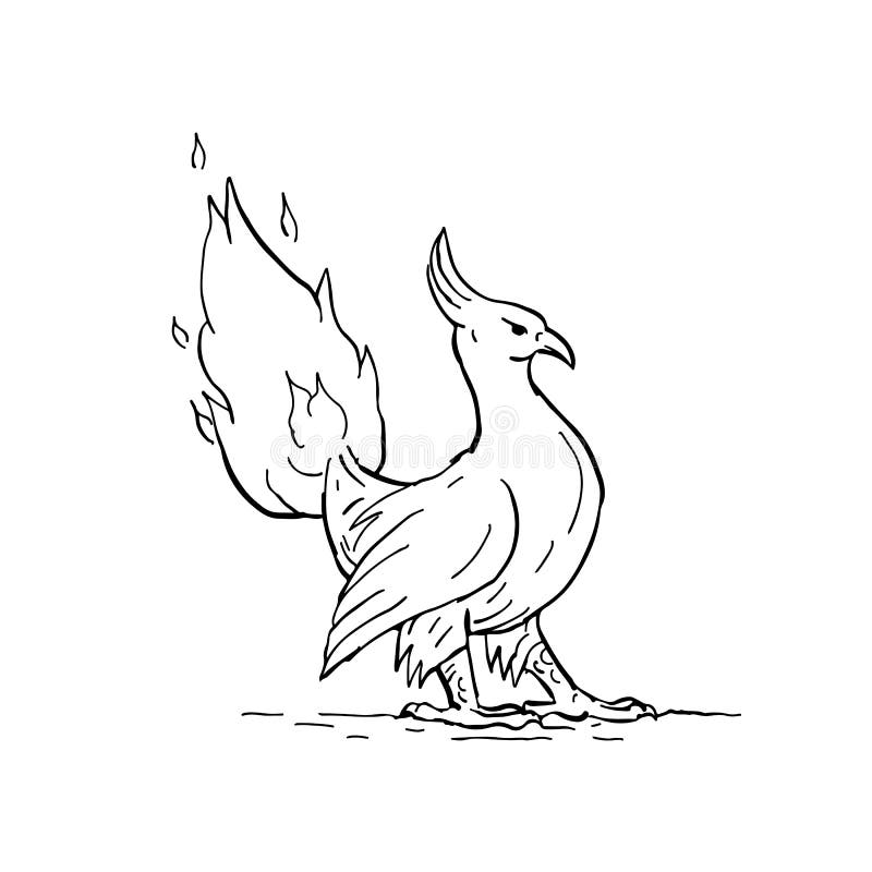 Phoenix Burning Tail Drawing. Drawing sketch style illustration of a a phoenix, in Greek mythology, a long-lived bird that cyclically regenerates obtaining new stock illustration
