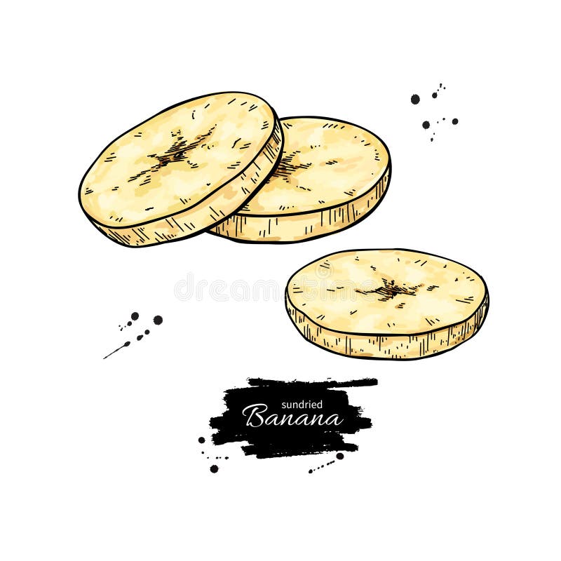 Dried banana chips vector drawing. Hand drawn dehydrated sliced fruit illustration. Healthy vegan raw food snack. Sketch of granola, cereals and oat milk stock illustration