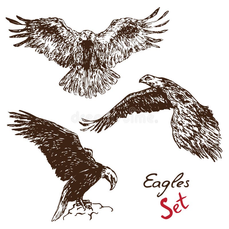 Eagles set, with inscription, hand drawn doodle royalty free illustration Eagles set, with inscription, hand drawn doodle royalty free illustration