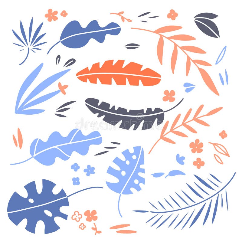 Exotic leaves hand drawn flat illustrations set. Jungle, rainforest foliage sketch cliparts collection. Palm, banana. Monstera, aralia leaves. Houseplants vector illustration Exotic leaves hand drawn flat illustrations set. Jungle, rainforest foliage sketch cliparts collection. Palm, banana. Monstera, aralia leaves. Houseplants vector illustration
