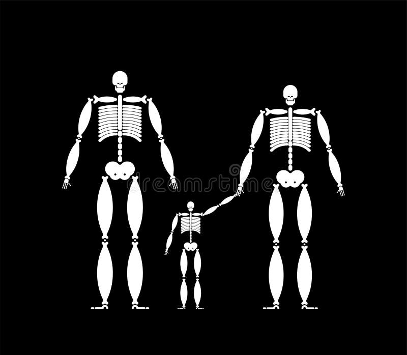 Family skeleton. Dad mom and child. Dead family. Vector illustration.  stock illustration