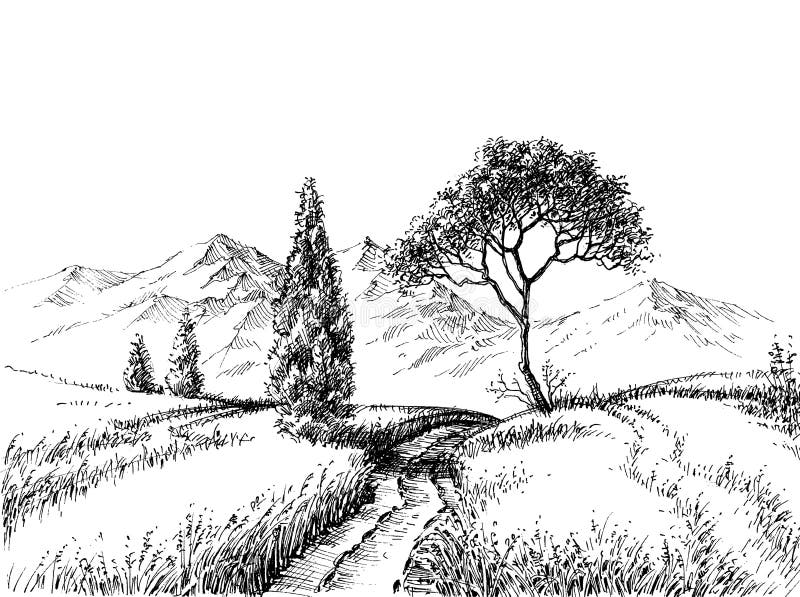 Field landscape pencil drawing vector illustration