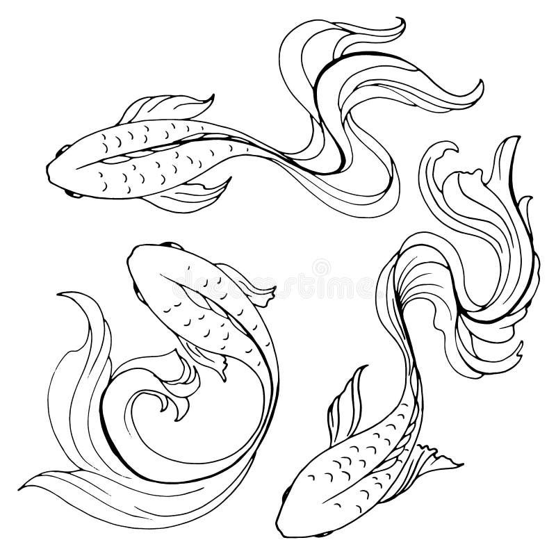 808 fishes, set of drawings pencil stylized fish. Set of drawings pencil stylized fish, vector illustration, isolate on a white background vector illustration