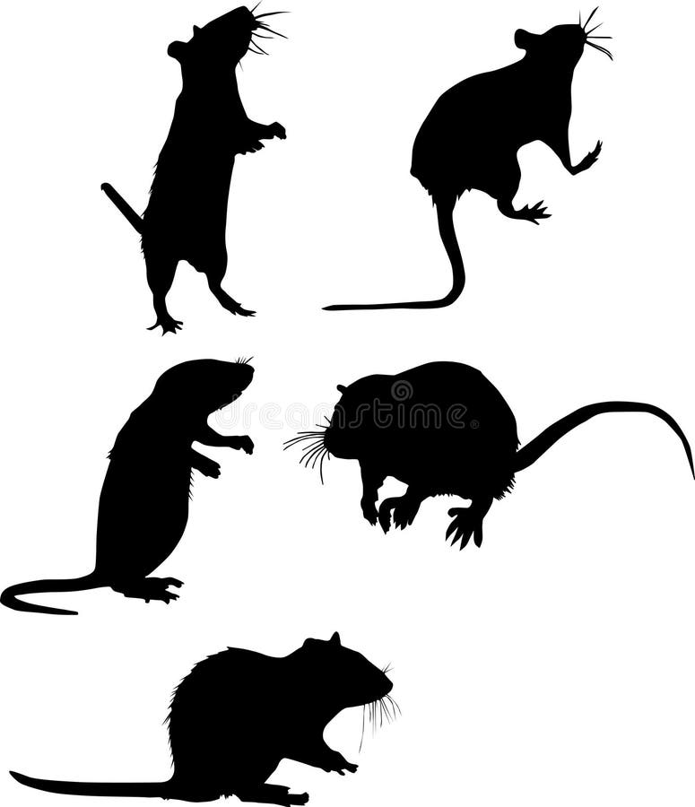 Five rat silhouettes. Isolated on white background stock illustration