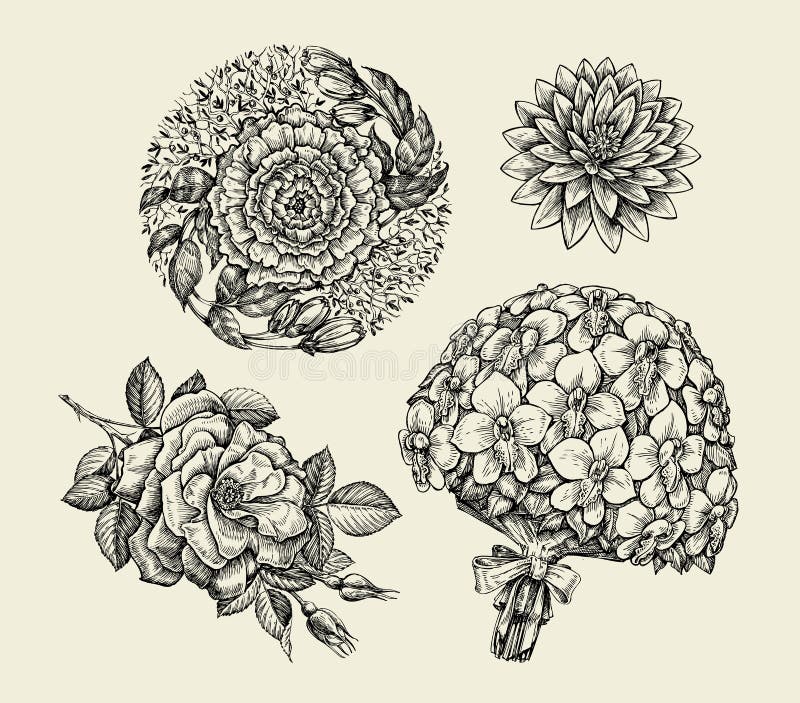 Flowers. Hand drawn sketch flower, rose, peony, lotus, orchid, bouquet. Vector illustration stock illustration Flowers. Hand drawn sketch flower, rose, peony, lotus, orchid, bouquet. Vector illustration stock illustration