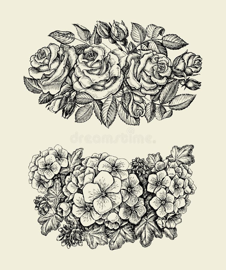 Flowers. Hand drawn sketch flower, roses, geranium, floral pattern. Vector illustration vector illustration Flowers. Hand drawn sketch flower, roses, geranium, floral pattern. Vector illustration vector illustration