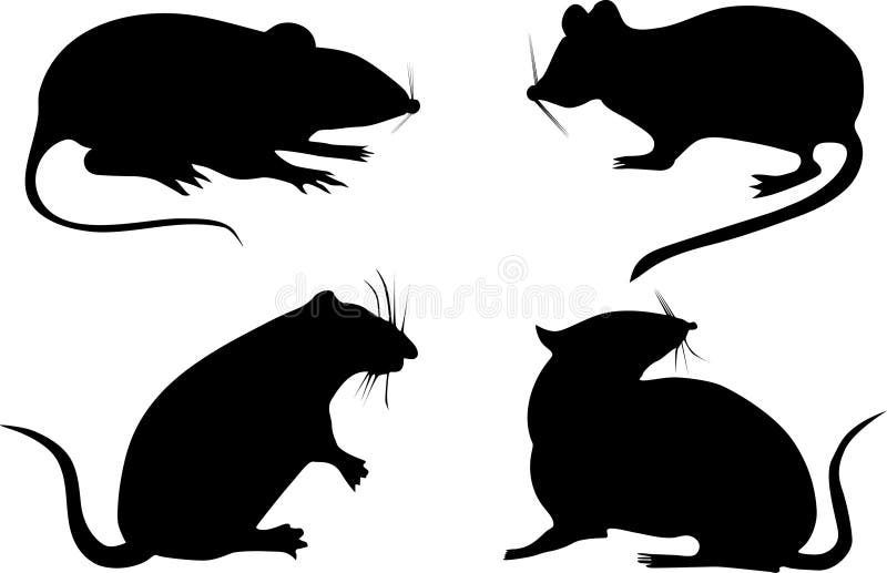 Four rat silhouettes. Isolated on white background royalty free illustration