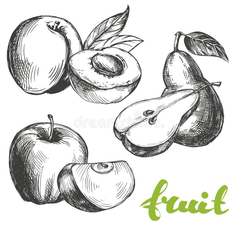 Fruit peach, apple, pear set hand drawn vector illustration sketch vector illustration
