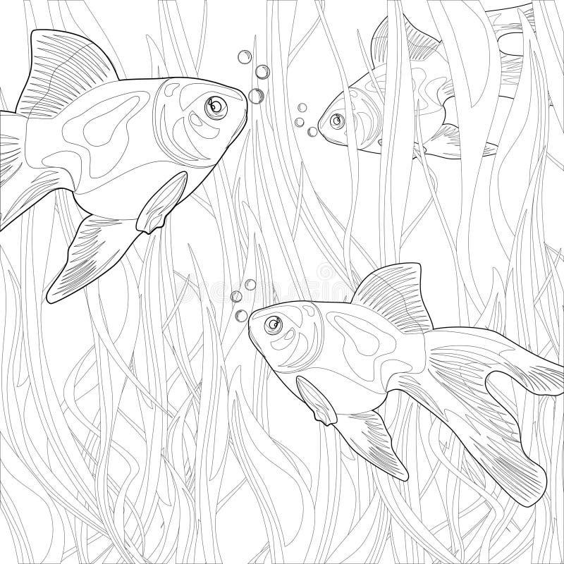 Goldfish in an aquarium. Illustration goldfish in an aquarium. Coloring stock illustration