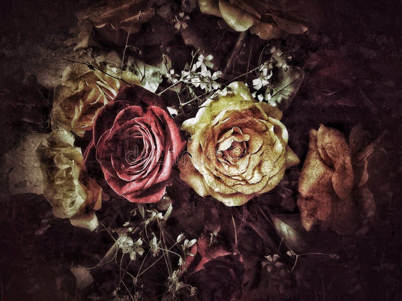Grunge flower background and texture royalty free stock image Grunge flower background and texture royalty free stock image