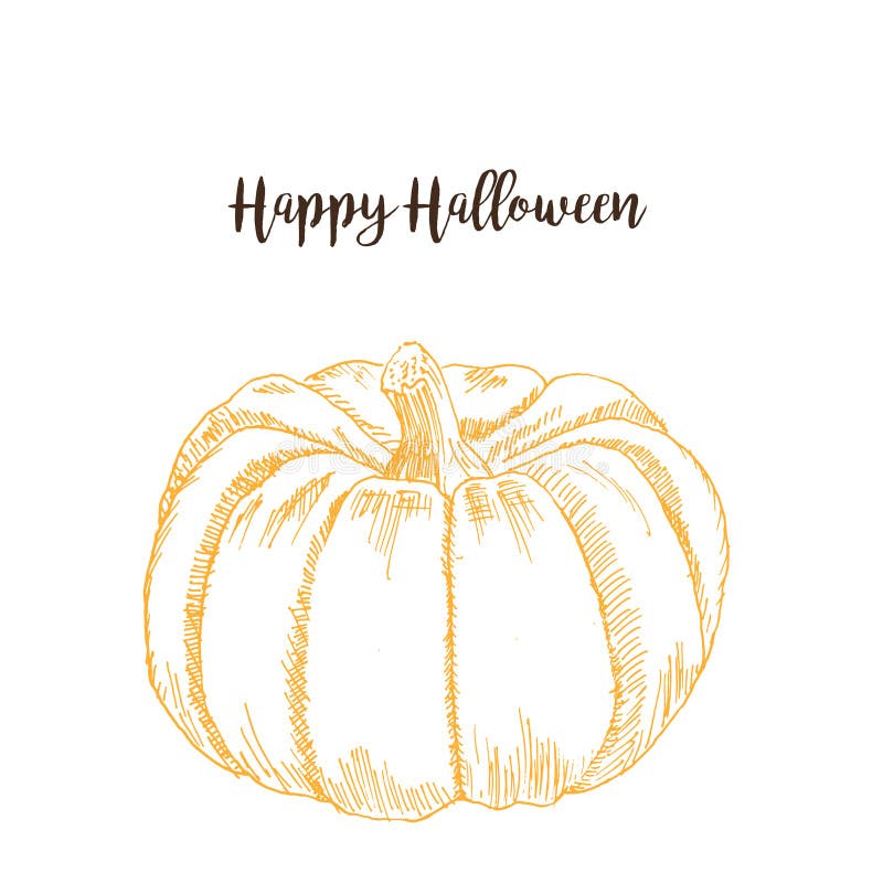 Halloween pumpkin sketch hand drawing  illustration. Orange big ink pen pumpkin isolated on white vector illustration