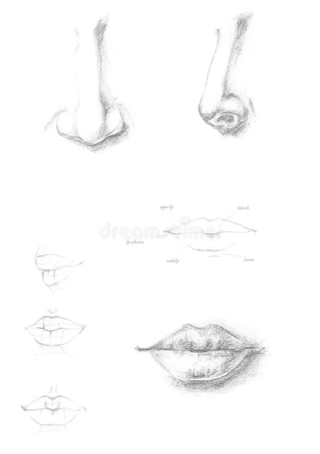 Hand drawn human nose and lips icon illustration, brush drawing grey sign, original hand-painted face part isolated on vector illustration
