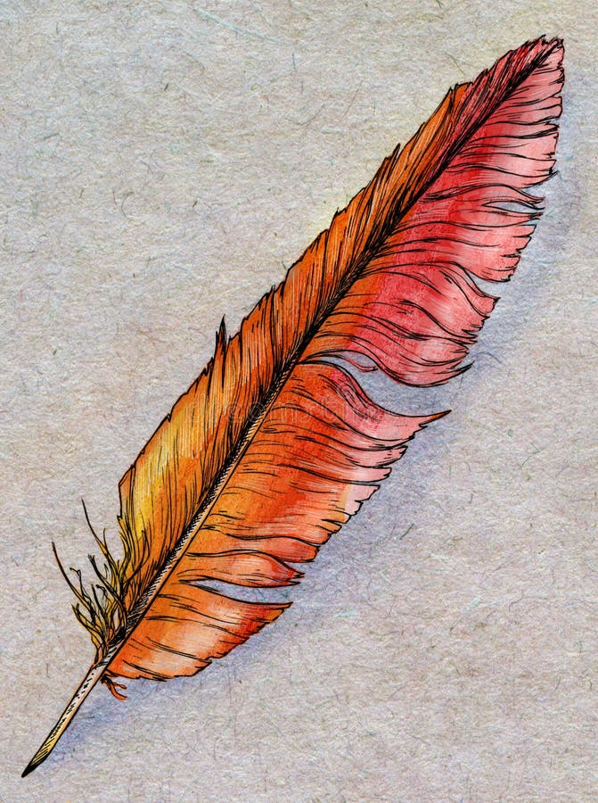 Hand drawn phoenix feather. Hand drawn ink sketch of a fantasy birds - phoenix - feather colored with red and yellow watercolors royalty free illustration