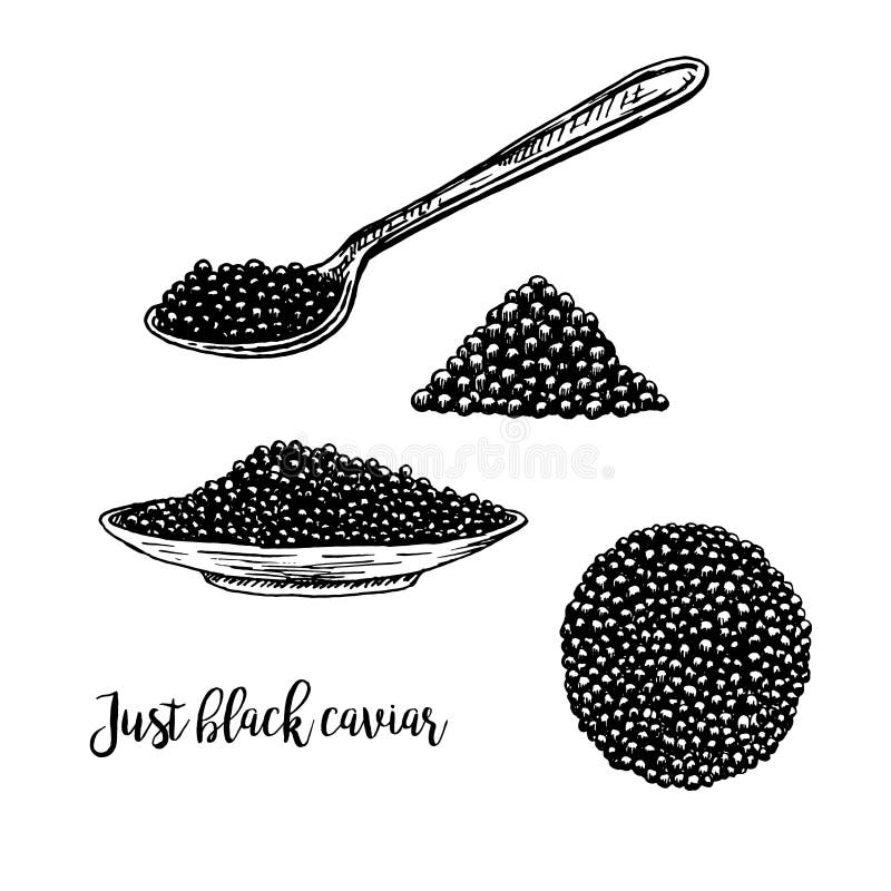 Hand drawn set of plate with caviar. vector illustration
