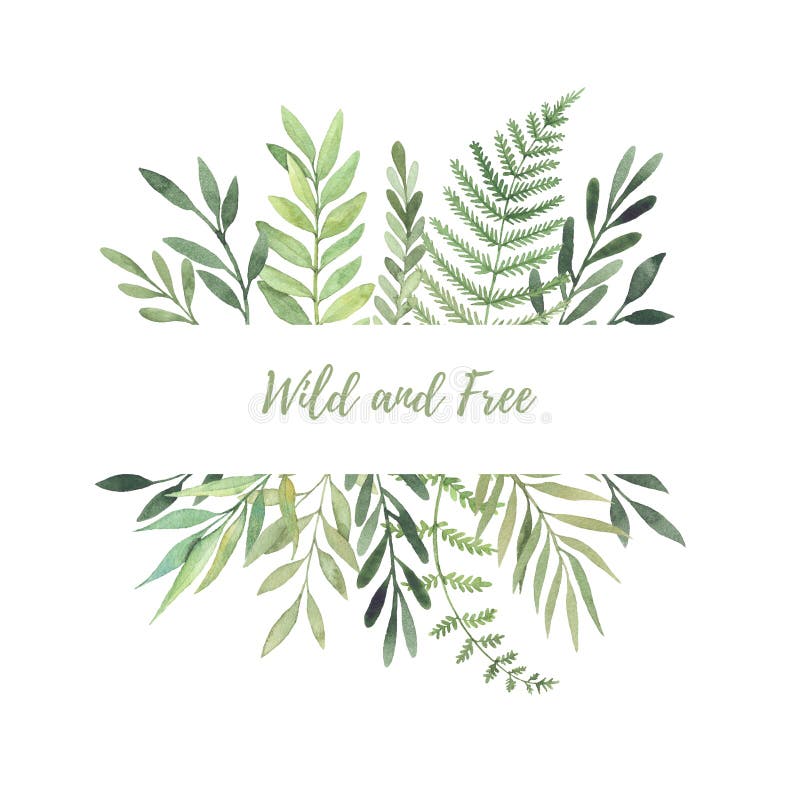 Hand drawn watercolor illustration. Botanical label with green l royalty free illustration Hand drawn watercolor illustration. Botanical label with green l royalty free illustration