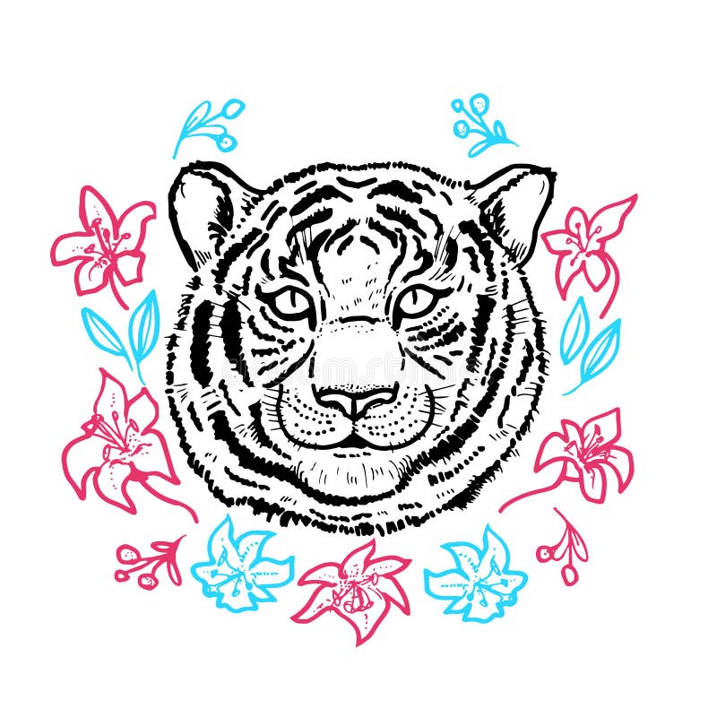 Hand painted head of a tiger and a Lily on white background stock illustration Hand painted head of a tiger and a Lily on white background stock illustration