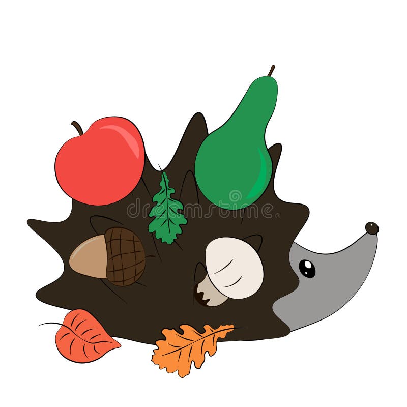 Hedgehog Cute Vector illustration of a cartoon hedgehog with apple, acorn, pear, leaves and mushroom Education and child. Reading skills development Art for royalty free illustration