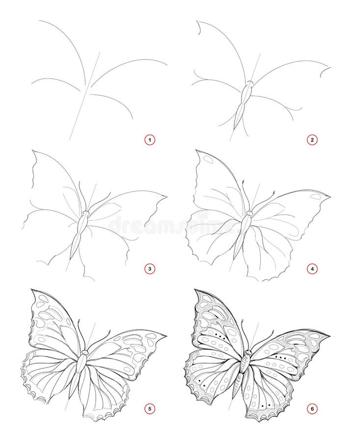 How to draw sketch of beautiful fantastic butterfly. Creation step by step pencil drawing. Education for artists. Textbook for developing artistic skills. Hand royalty free illustration How to draw sketch of beautiful fantastic butterfly. Creation step by step pencil drawing. Education for artists. Textbook for developing artistic skills. Hand royalty free illustration