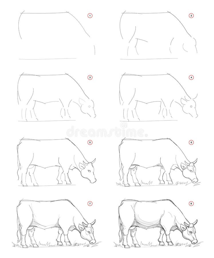 How to draw sketch of imaginary Breton cow. Creation step by step pencil drawing. Education for artists. Textbook for developing artistic skills. Hand-drawn stock illustration How to draw sketch of imaginary Breton cow. Creation step by step pencil drawing. Education for artists. Textbook for developing artistic skills. Hand-drawn stock illustration