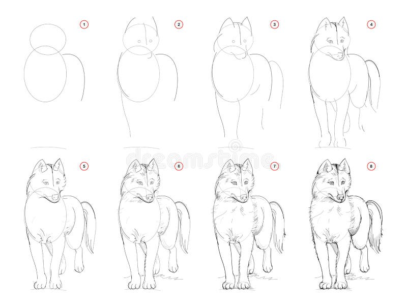 How to draw sketch of imaginary cute husky dog. Creation step by step pencil drawing. Education for artists. Textbook for developing artistic skills. Hand vector illustration How to draw sketch of imaginary cute husky dog. Creation step by step pencil drawing. Education for artists. Textbook for developing artistic skills. Hand vector illustration